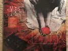 Goo Goo Dolls Gutterflower Limited Rare Orange Rust Edition Vinyl LP