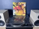 The Mock Turtles Two Sides UK A1/B1 1991 Can U Dig It Hype Vinyl Record VG/VG+