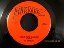 APOLLOS I Love You Darling / Bandstand Baby Doo Wop R&B Rock 45 1959