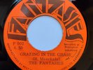 The Fantasies 