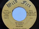 Wildfire 