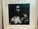Muddy Waters - After The Rain ('71 Pressing 12