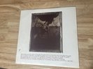 PIXIES SURFER ROSA ROUGH VINYL RECORD 2004 LP CAD 803 Used