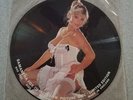 Sam Samantha Fox Singer Official UK Limited Edition Interview Picture Disc Rare
