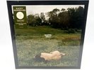 Kacey Musgraves LIMITED EDITION COVER Deeper Well | Transparent Cream Vinyl NEW