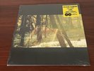 CHILDISH GAMBINO Camp 180 gram Double 2X LP Vinyl