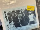 Very Rare Stray Cats Bootleg Album Multi Coloured Vinyl Read Description