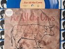 Foo Fighters For All The Cows 1995 45 7