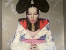 Homogenic by Björk (Record, 2007) vinyl LP