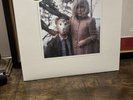 The Head and the Heart - SELF TITLED - Vinyl LP Sub Pop