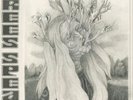 Trees Speak OHMS (Vinyl) 12