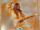 Terry Reid - Rogue Waves LP Classic Rock Capitol SW-11857 v/g condition .