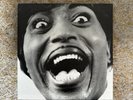 Little Richard – Mono Box: The Complete Specialty and Vee-Jay Albums 5 LP Vinyl
