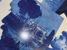 Zayn Malik Room Under The Stairs SIGNED Vinyl (Urban Outfitters Variant)