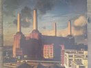 1977 Pink Floyd Animals 12
