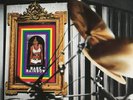 The House of Love | Black Vinyl LP | Babe Rainbow | Proper