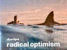 dua lipa   Radical Optimism - Exclusive Sky Blue Vinyl Record LP (2024) New