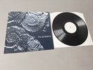 THE SUNDAYS original whitelabel PROMO Vinyl LP Reading, Writing And Arithmetic
