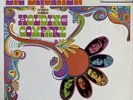 BIG BROTHER & THE HOLDING COMPANY SELF TITLED VINYL LP MAINSTREAM USA 1968