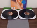 Butthole Surfers ELECTRICLARRYLAND LP In Plastic With Etching Excellent Cond.
