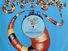 Grandmaster Flash & The Furious Five “The Message” 12inch Vinyl  Record