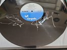 blondie parallel lines signed framed record see Description