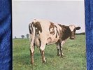 PINK FLOYD, Atom Heart Mother, 1st Press 1970