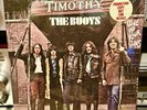 Rare THE BUOYS GIVE UP YOUR GUNS /Timothy LP Vinyl Record Promo Factory Sealed