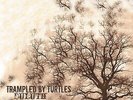 Trampled by Turtles Duluth (Vinyl)