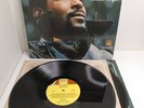 What's Going On Marvin Gaye Double LP Vinyl