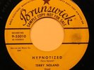 Norman Petty Production, Terry Noland, Hypnotized/Ten Little Woman DJ copy