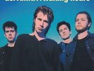 Del Amitri Waking Hours (Vinyl) 12