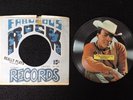Motown Marvin Gaye How Sweet It Is Flexible Photo 45 RPM Record Tamla 1967 /B