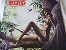Rare Bird -  Sympathy ( original  UK 1st CS4 Charisma 1976 Psych prog  Vinyl )