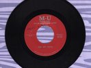 The Shy Guys Black Lightening Light Goodbye To You M-U 45 Record Psych Garage