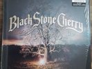 BLACK STONE CHERRY - FAMILY TREE LIMITED UK EDITION 2X 180G TRANSPARENT VINYL LP