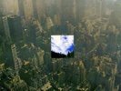 Zephyr Going Back to Colorado (Vinyl) 12