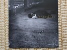 John Zorn - Naked City, VINYL, 7559-79238-1, 2015, VG+ / VG+