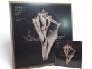 Robert Plant, Lullaby and the Ceaseless Roar (2014) 12
