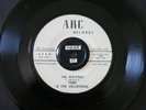 TERRI & THE VELVETEENS 