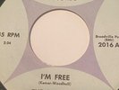 RARE MICHIGAN GARAGE ROCK-FENTON RECORDS 2016-THE SAHARAS-I'M FREE-45