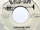 rare garage psych 45 THE FLOWER POWER You Make Me Fly/Sunshine Day NM PROMO