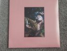 Hayley Williams Flowers Vases Descansos Petals Armor deluxe vinyl paramore Rare