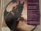Red Hot Chili Peppers - Dani California 7” Picture Disc Vinyl  MINT