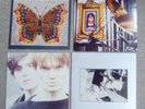 The House of Love - 4 x original vinyl LPs - Babe Rainbow/Spy/House of Love x2