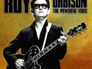 ROY ORBISON: The Powerful Voice =LP vinyl *BRAND NEW*=