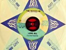Northern soul Lainie Hill Time marches on PROMO EX condition