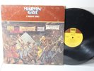 Marvin Gaye – I Want You, 1976 LP, Tamla – T6-342S1