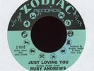 Ruby Andrews - Just Loving You on Zodiac Northern Soul 45