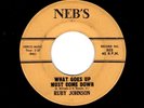 DEEP SOUL-RUBY JOHNSON-WHAT GOES UP MUST COME DOWN/I WANT A REAL MAN-NEB'S 503